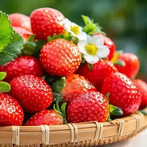 Sweet Strawberry Seeds for Planting – Home Garden, Balcony Pot Grow