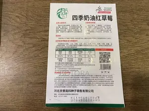 Sweet Strawberry Seeds for Planting – Home Garden, Balcony Pot Grow