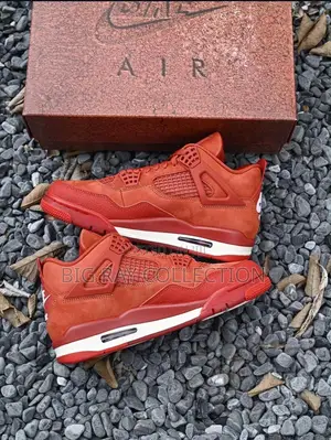 X Nigel Sylvester Air Jordan 4 Og "Bike Air"
