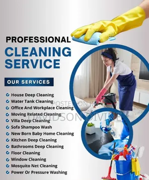 Cleaning Agency