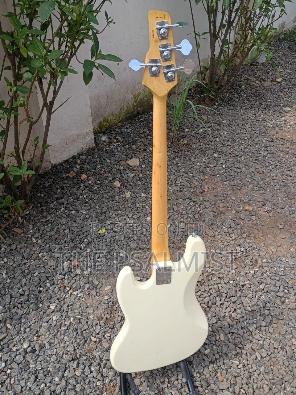 Dame Neo Classicism 4strings Jazz Bass 105 Top Class Quality Sound