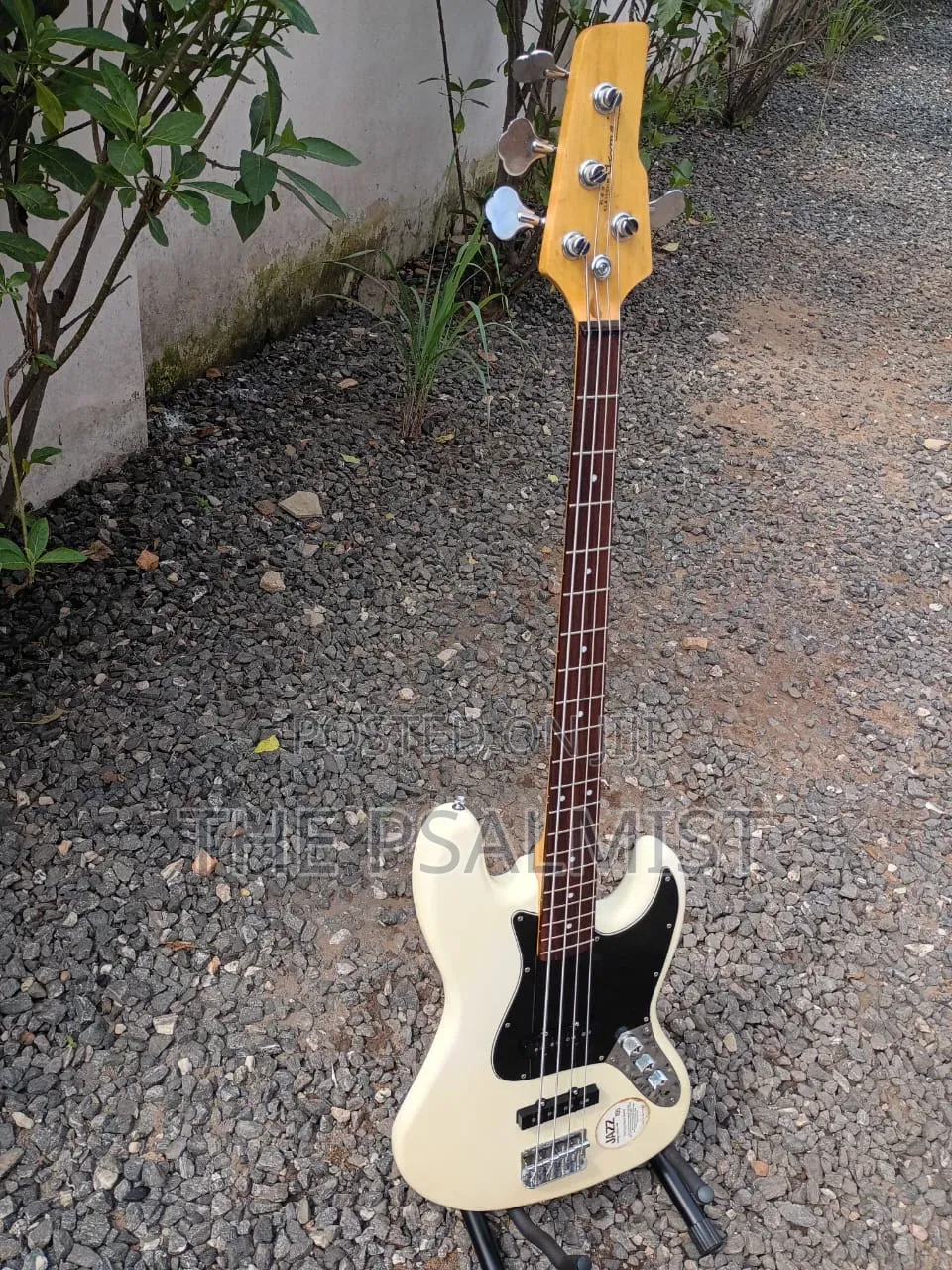 Dame Neo Classicism 4strings Jazz Bass 105 Top Class Quality Sound