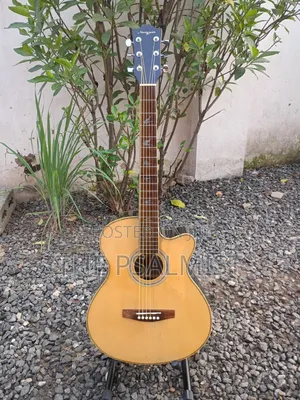 Martin Smith W401e-N Semi Acoustic Guitar