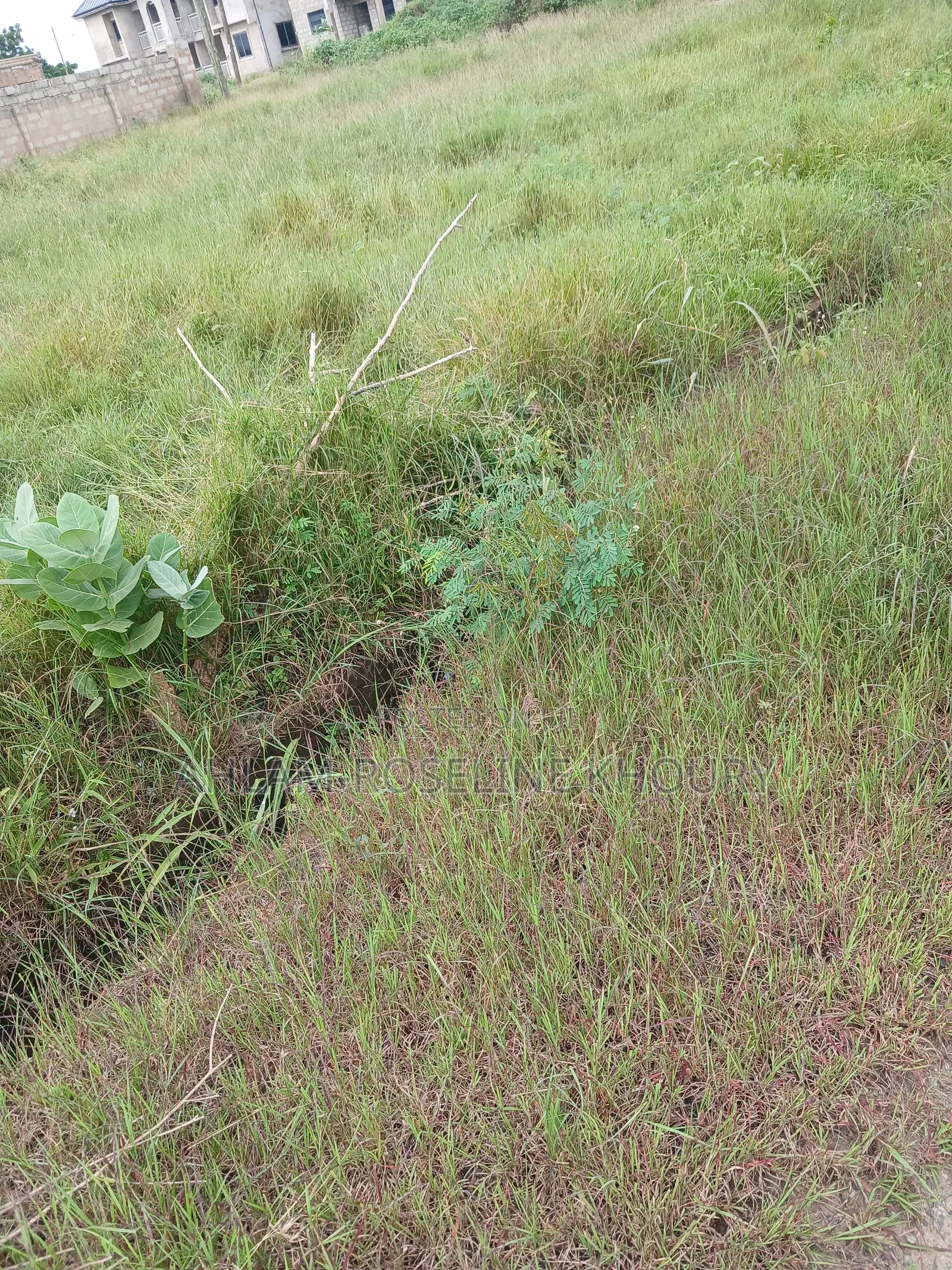 Titled 4 Plots of Land at Uds Wa Campus for Sale