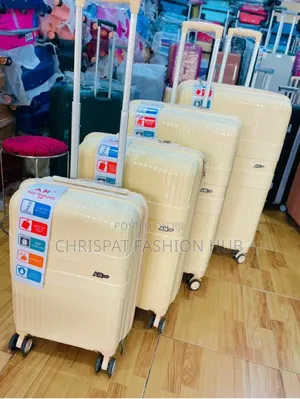 Four in One Trending Traveling Bag