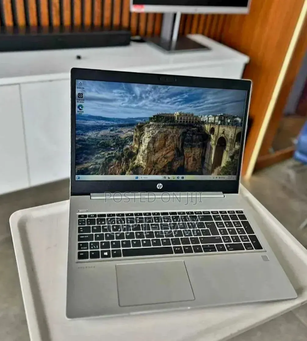 Laptop HP ProBook 450 G6 16GB AMD Ryzen 5 HDD+SSD 256GB