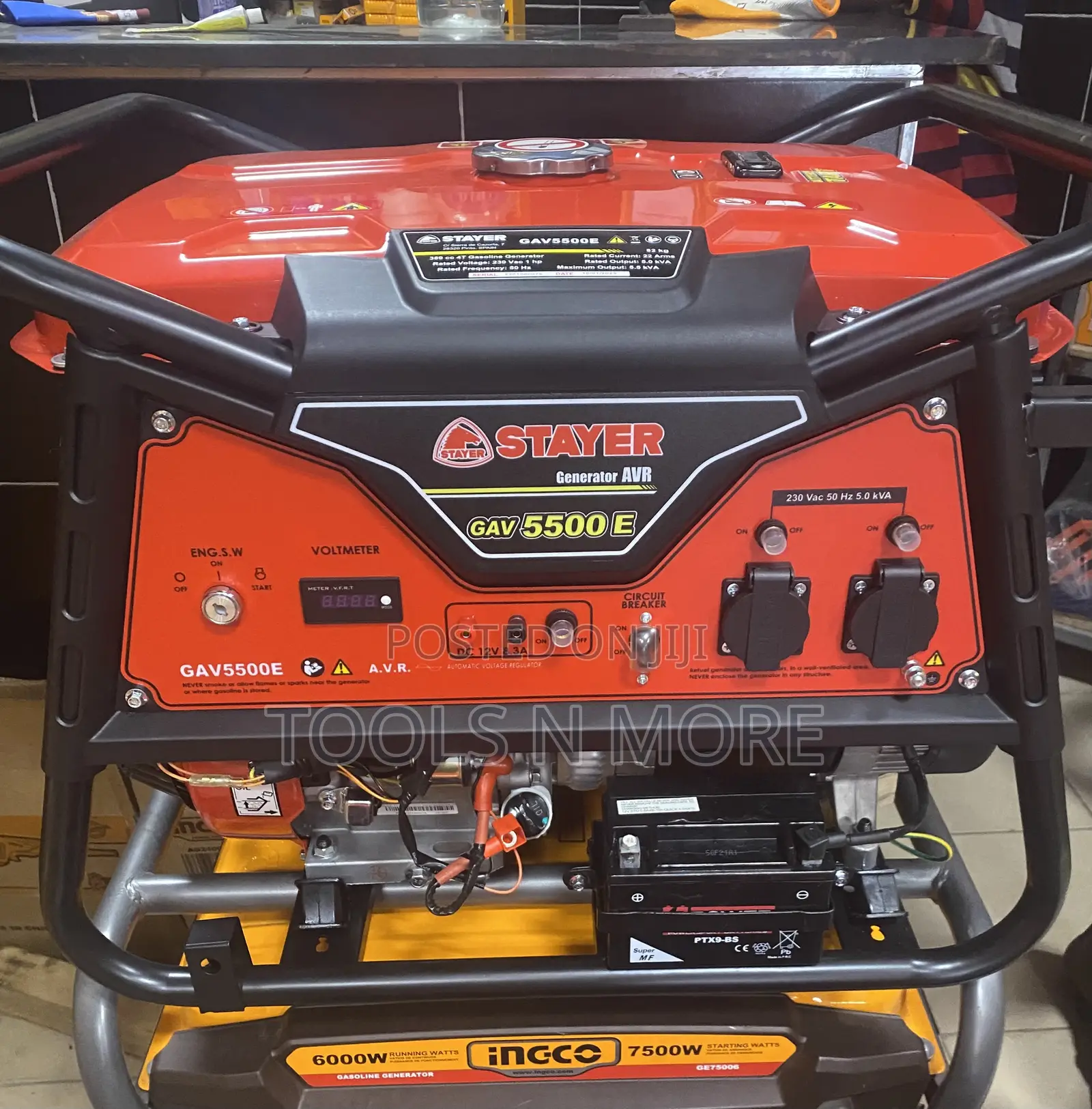 Stayer Gasoline Generator 5500w (European Quality)