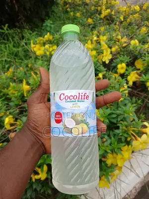 Coconut Life
