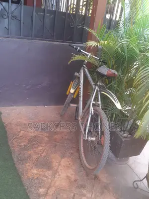 Bicycle Gray