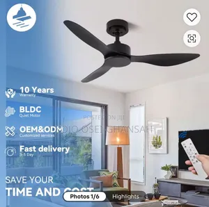 Modern 3-Blade BLDC Ceiling Fan With Remote. Silent Energy Efficient