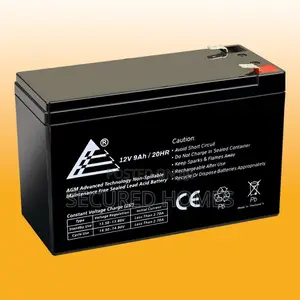 Battery Replacement Gate Motor
