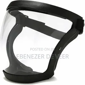 Faceshield With Filter
