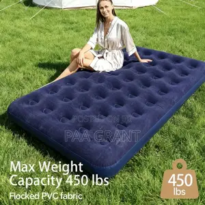Built for for Everyday Comfort (Double Air Mattress Plus Free Pump