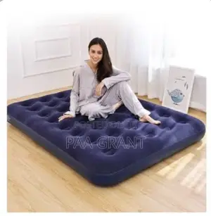 Easy Set Up in Minutes (Double Size Air Mattress Plus Free Pump