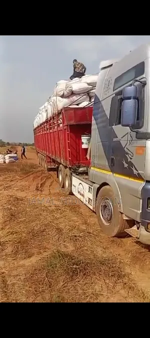 Man Truck for Sale