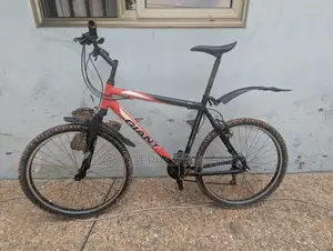 Giant - Large Mountain Bike - Aluxx 6000
