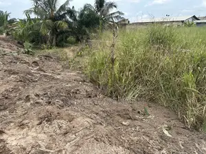 Land 4 Sale at Ahomaso
