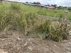 Land 4 Sale at Ahomaso