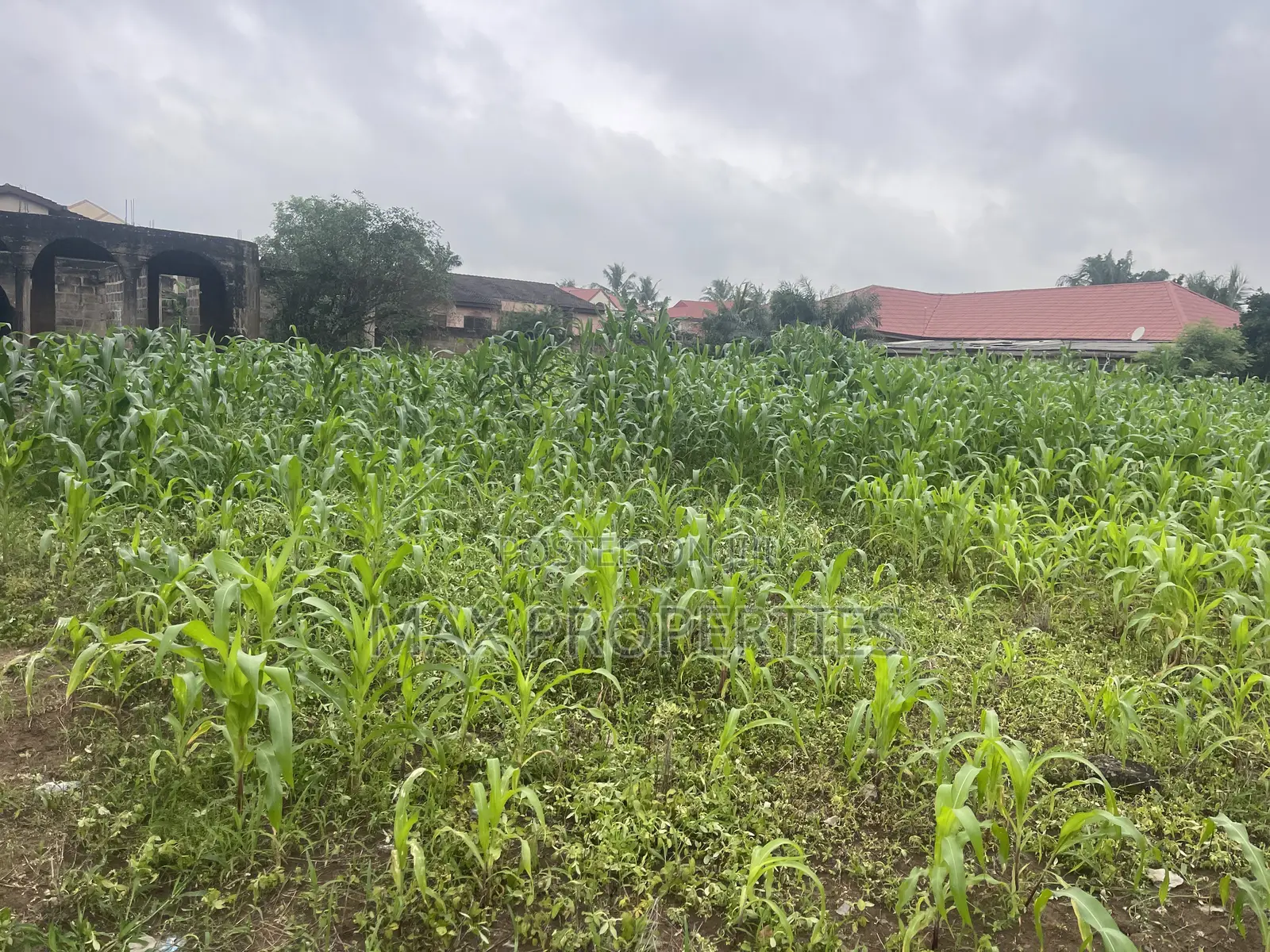 Plot of Land for Sale at Dome Pillar2 No Litigation or Land Guard