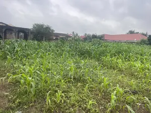 Plot of Land for Sale at Dome Pillar2 No Litigation or Land Guard