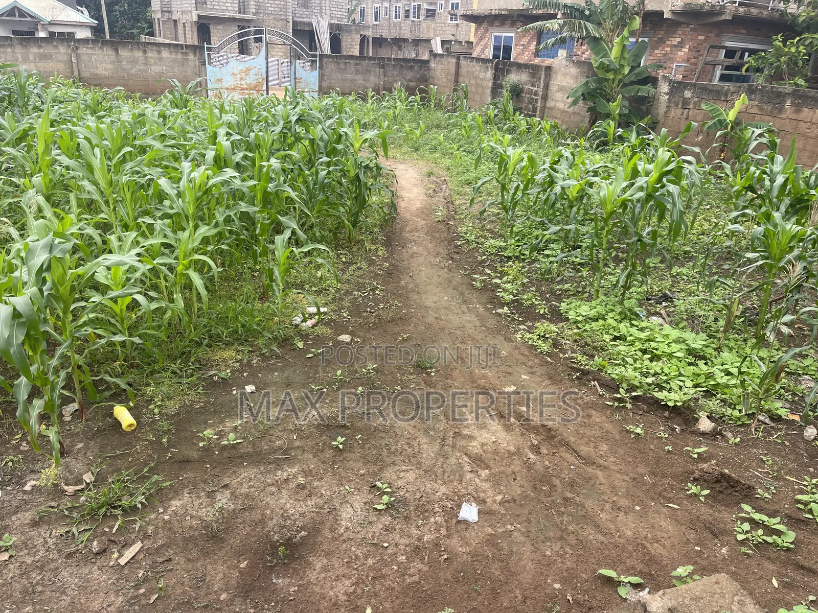 Plot of Land for Sale at Dome Pillar2 No Litigation or Land Guard