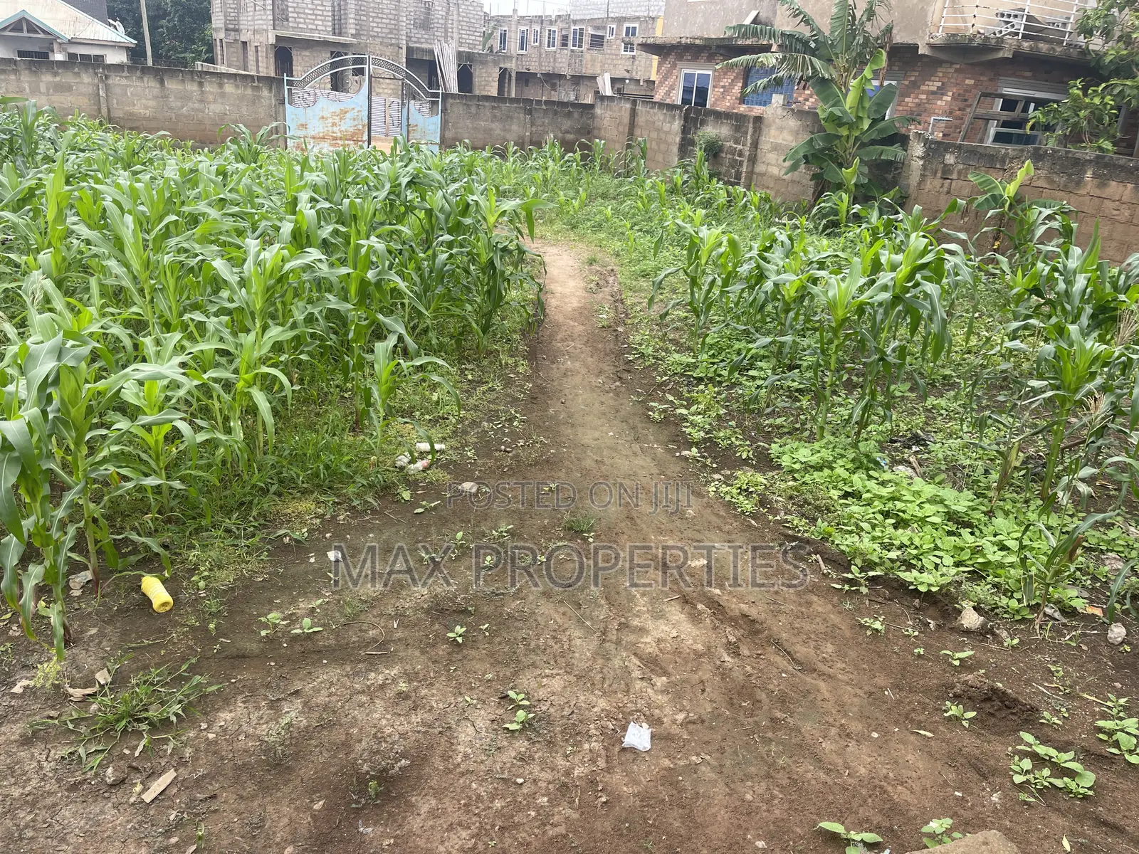 Plot of Land for Sale at Dome Pillar2 No Litigation or Land Guard