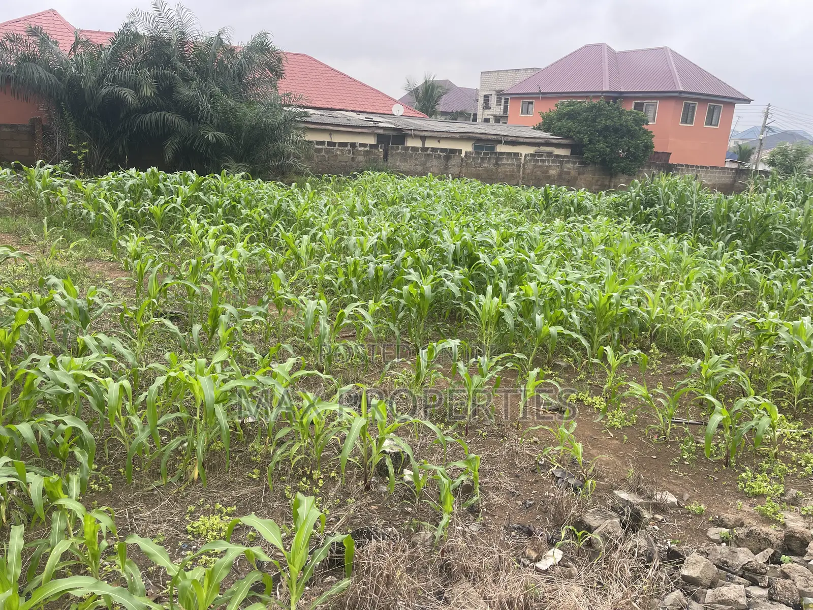 Plot of Land for Sale at Dome Pillar2 No Litigation or Land Guard