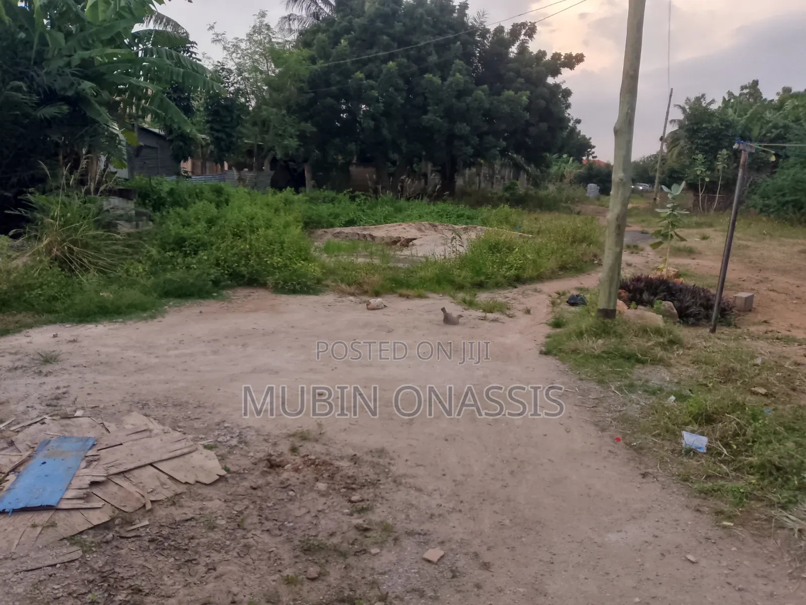 Land for Sale
