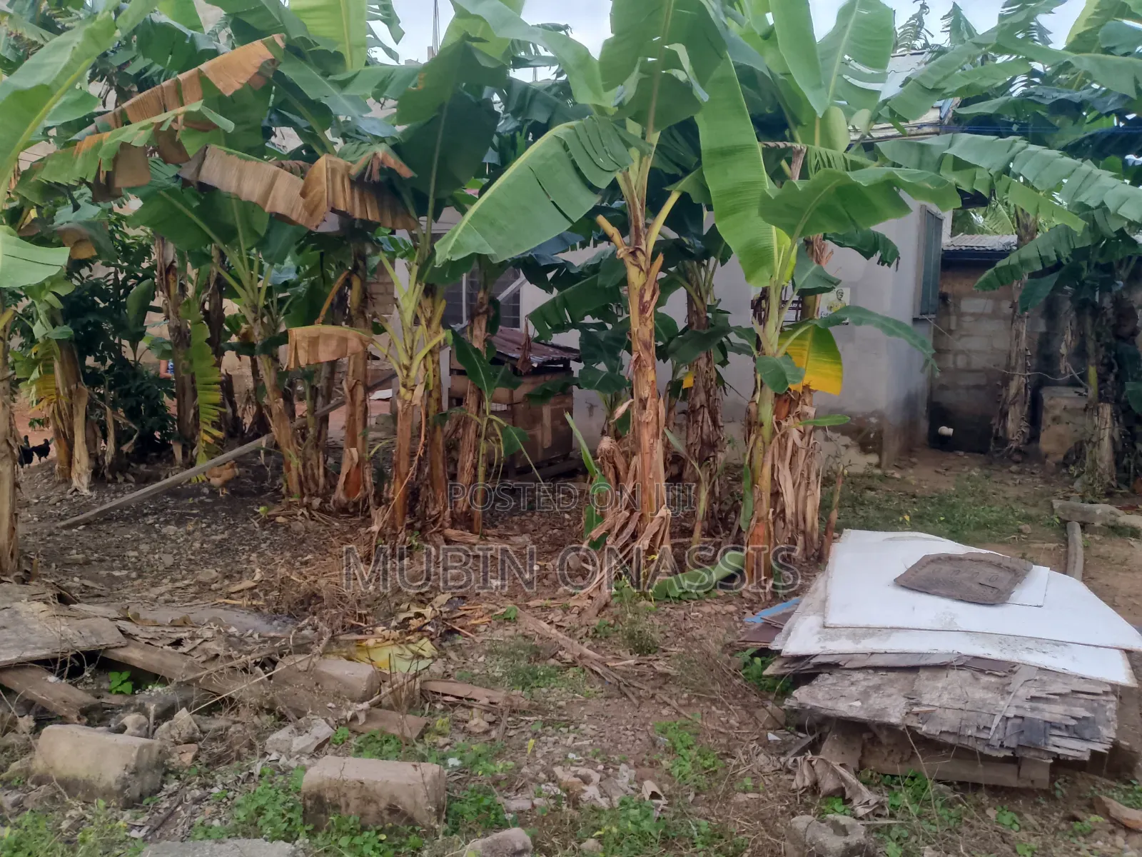 Land for Sale