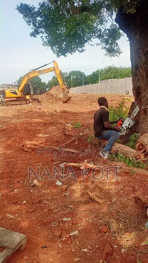 Tree Cutting, Prunning, Trimming With Chainsaw Operator