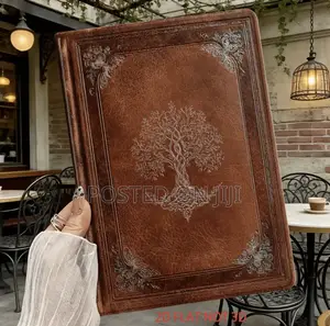 S10fe Plus Vintage Cover