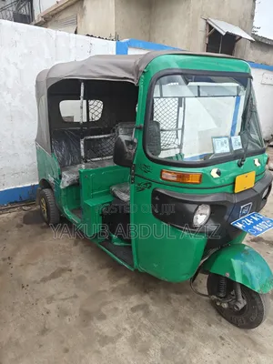 Bajaj 2024 Green