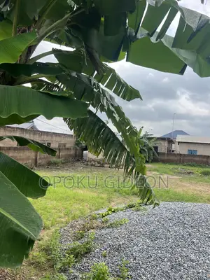 Half Plot of Land for Sale at Ablekuma Joma