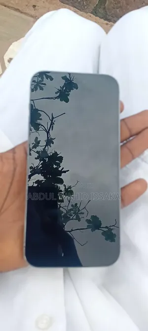 Apple iPhone 14 Pro Max 512 GB Gray