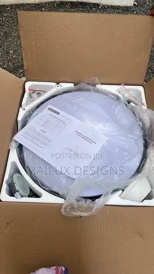 Fanlight With Bluetooth