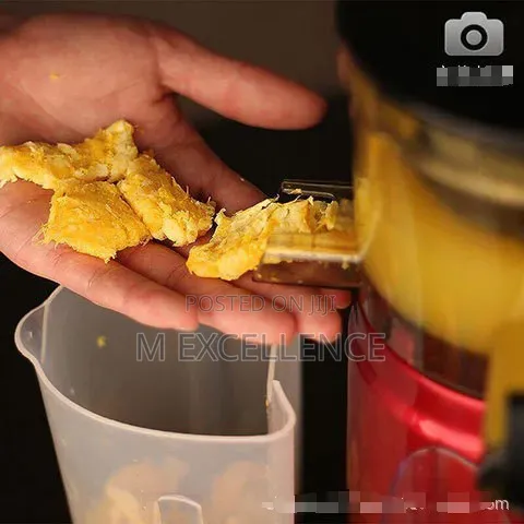 Multifunctional Juicer for Fruits - Juice Maker