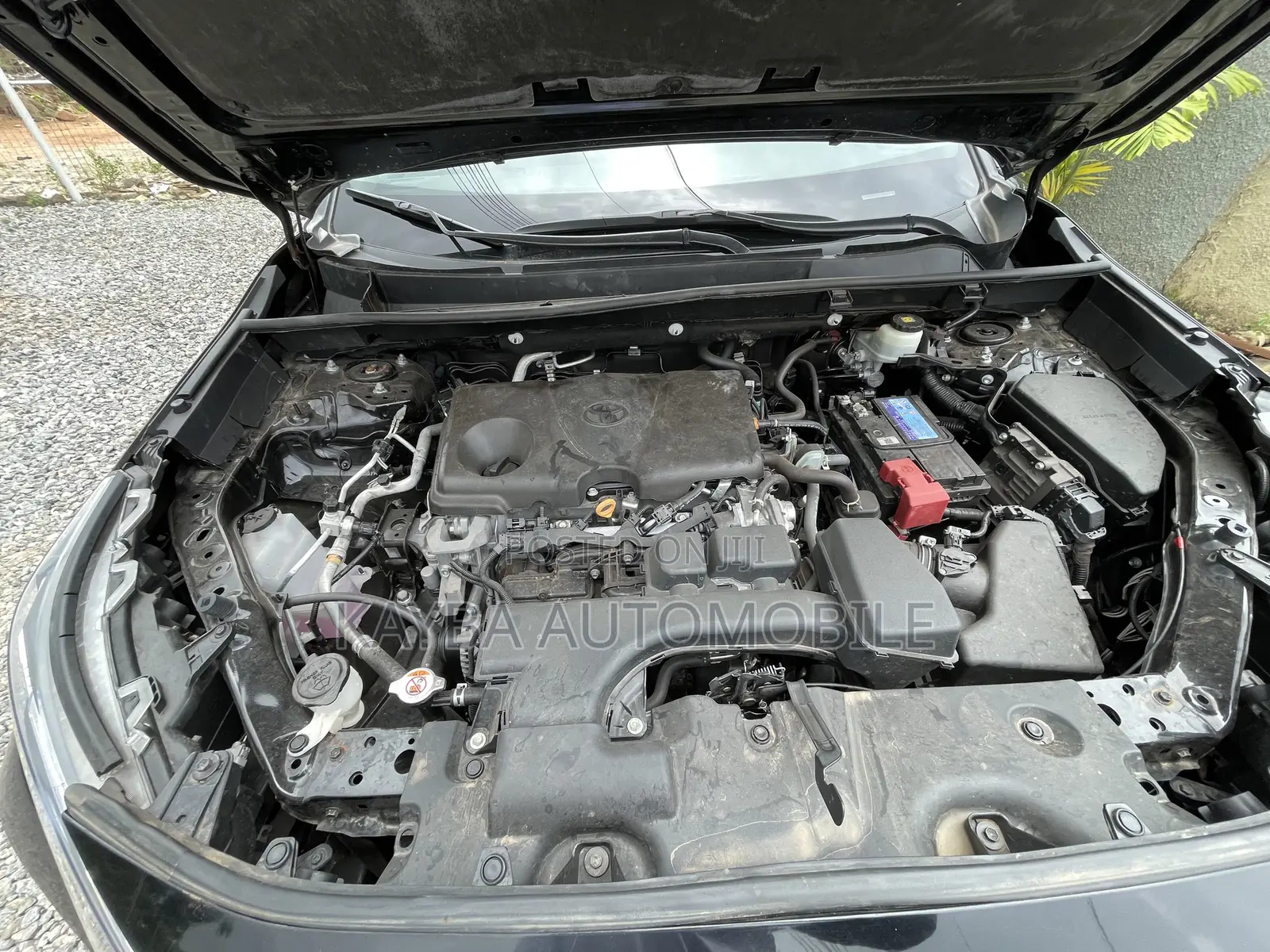 Toyota RAV4 XLE AWD 2024 Black