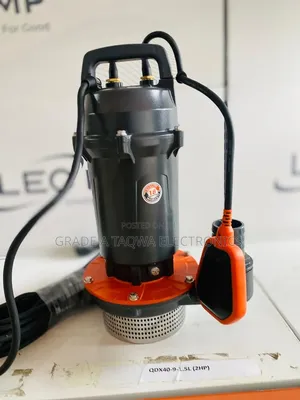 Cast Sewage Leo 2 Horsepower Water Pump