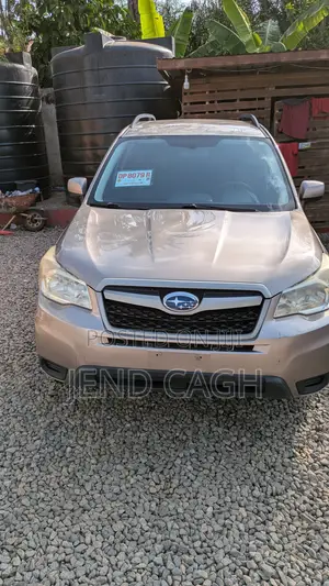 Subaru Forester 2014 Silver