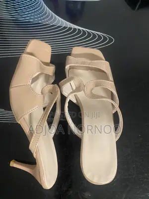 Ladies Shoe