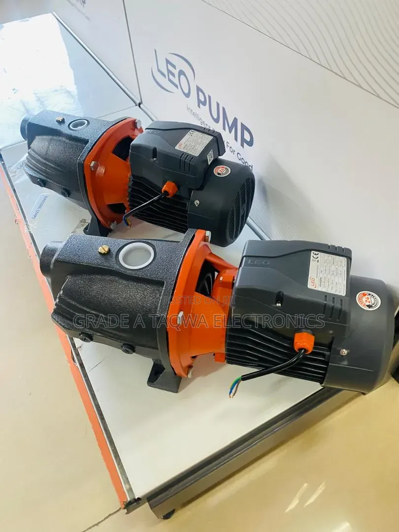 Shop Leo 3hp Cast Water Pump