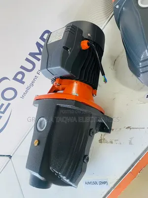 Try Massive Leo 2 Horsepower Water Pump