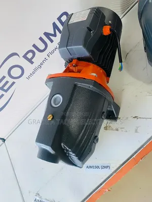 Discovered Leo 2hp Water Pump