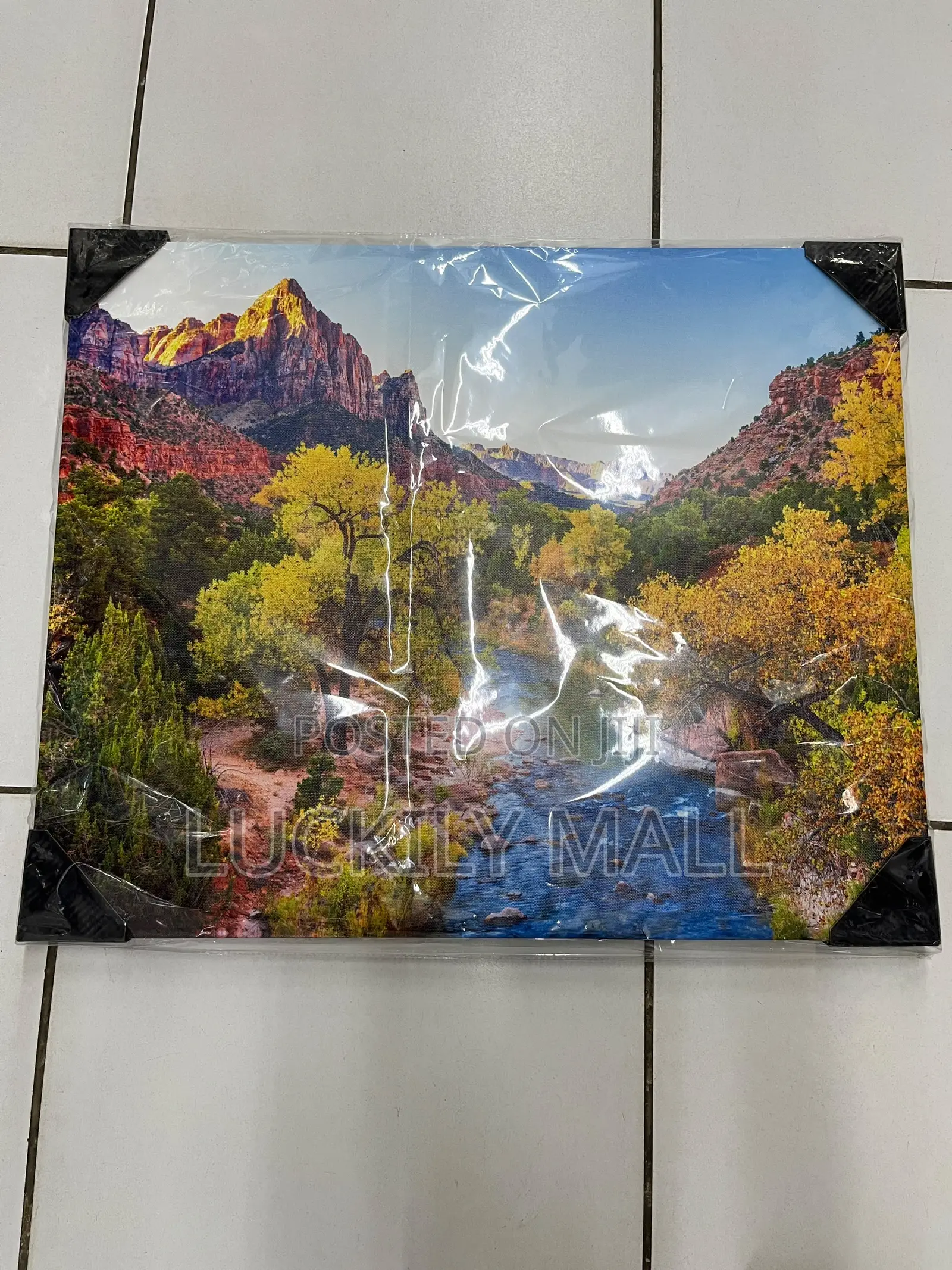 A Picture Frame