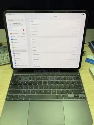 Apple iPad Pro 13 (2024) 256 GB Gray