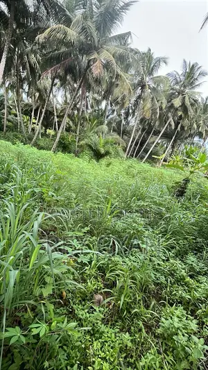 2 Plot Available at Agona Swedru Pipetank