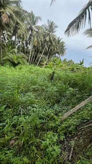 2 Plot Available at Agona Swedru Pipetank