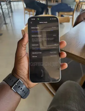 Apple iPhone 17 Pro Max 256 GB Silver