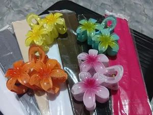 Head Bands and Hair Clips