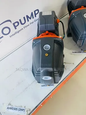 Order 2hp Leo Cast (Ajm150l) Pump